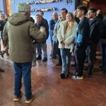 Visitas mediadas gratuitas