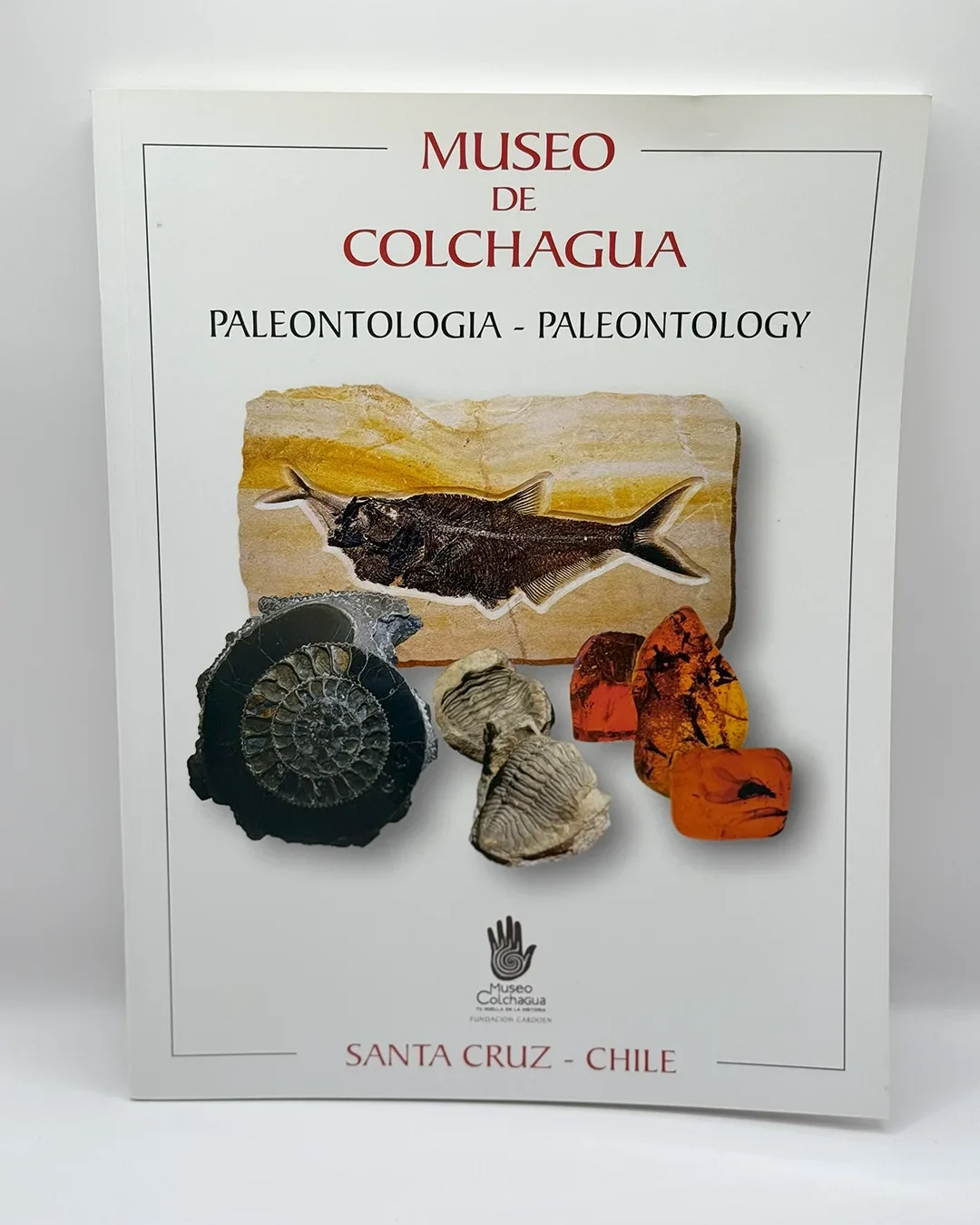 Libro Paleontologia